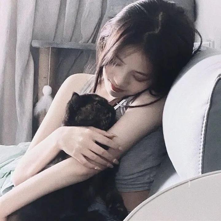猫王巡回演唱会