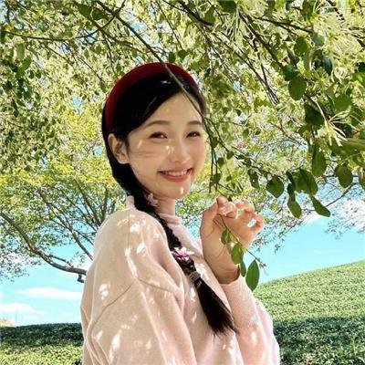 钢铁少女团2